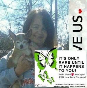 Meet your Posher, M.c.